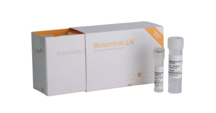 BioLamina人重组层粘连蛋白111｜LN111-02｜曼博生物直售