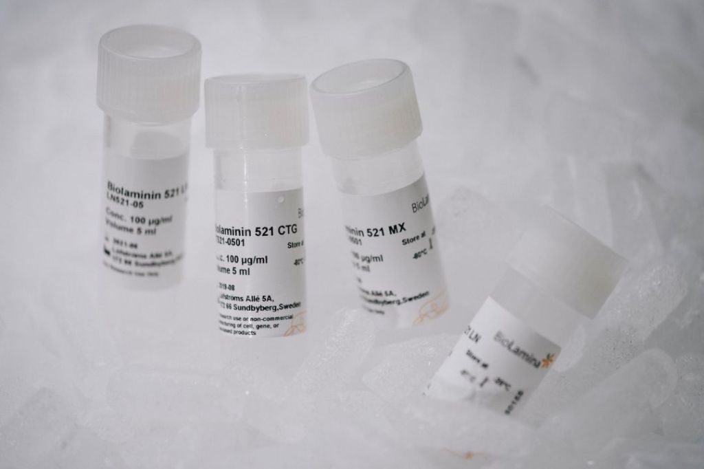 BioLamina人重组层粘连蛋白111｜LN111-02｜曼博生物直售