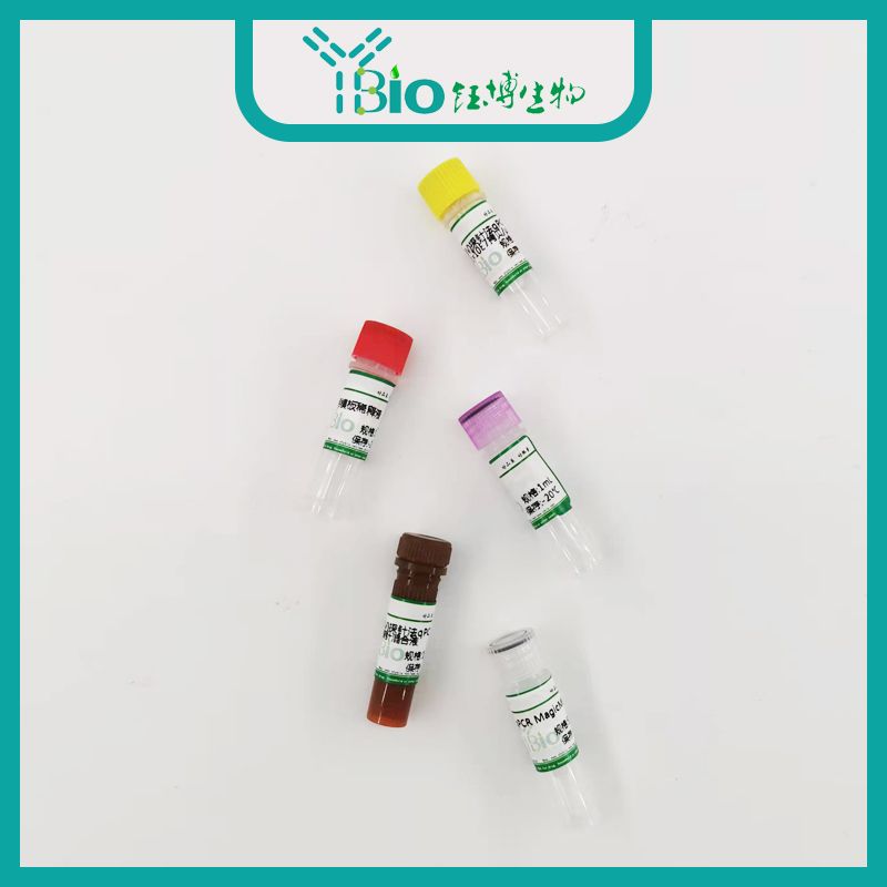 Rubella Virus(RuV)风疹病毒染料法荧光定量RT-PCR试剂盒 YB-71991DRT