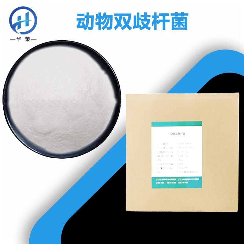 动物双歧杆菌