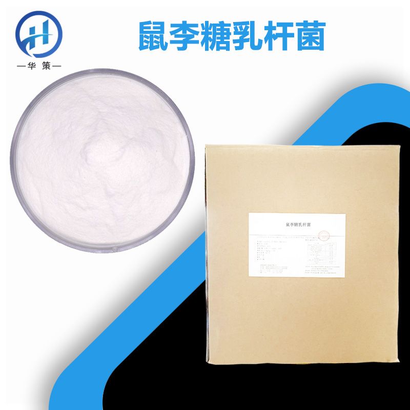 鼠李糖乳杆菌