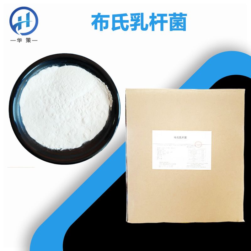 布氏乳杆菌