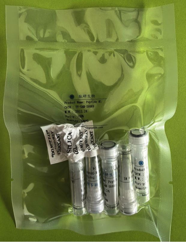 己酸-GHKK/己酰基四肽-3/1012317-71-3/Caprooyltetrapeptide-3,Chronoline