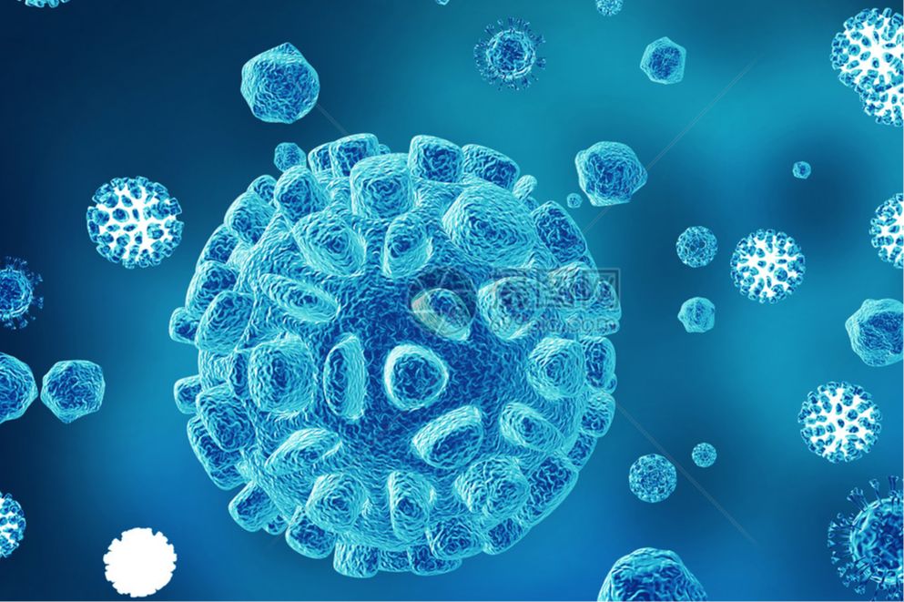 人乳腺浸润性导管癌旁皮肤成纤维细胞（有限细胞系）CCD1095Sk（STR）