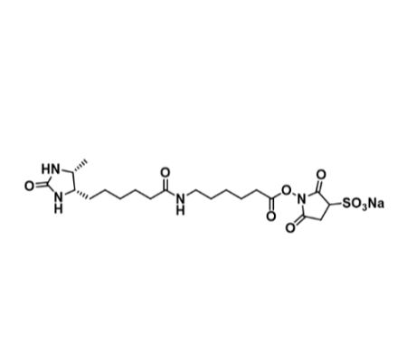 2777084-88-3，Sulfo-NHS-LC-Desthiobiotin，?磺酰-NHS-LC-脱硫生物素