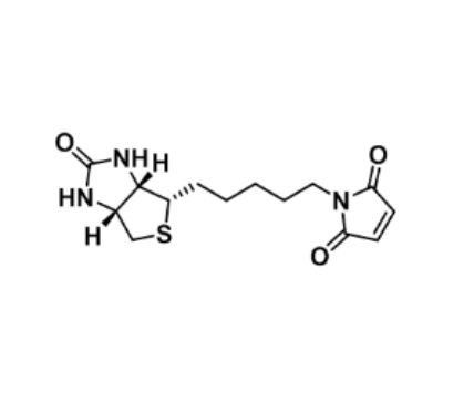 生物素-C5-马来酰亚胺，Biotin-C5-Mal