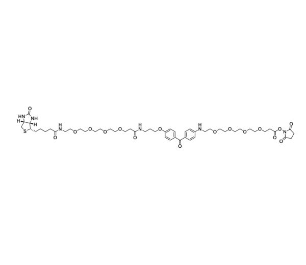 1628029-01-5，UV-Tracer Biotin NHS Ester，紫外追踪-生物素-NHS酯