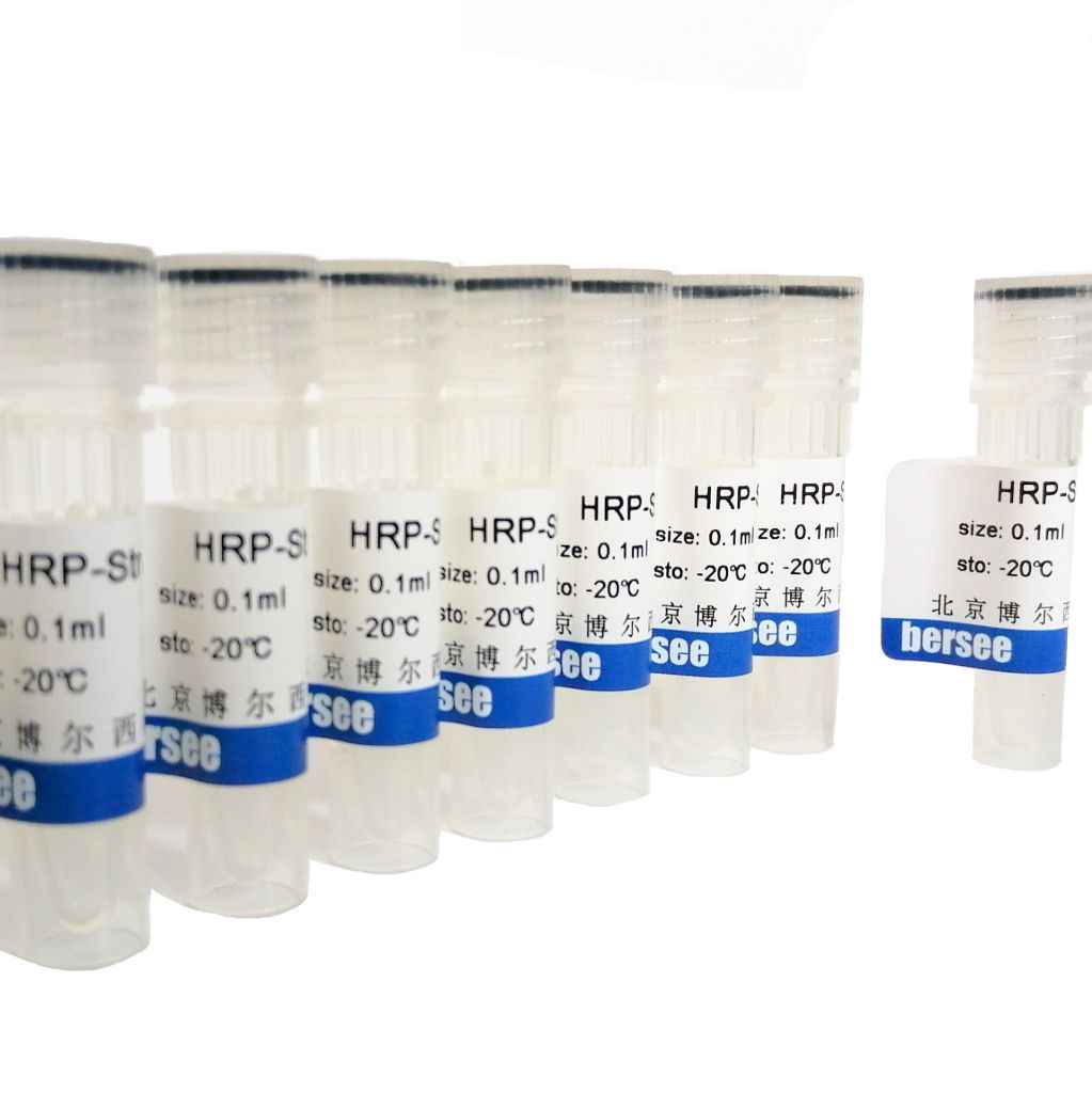 兔抗SA（多克隆抗体）