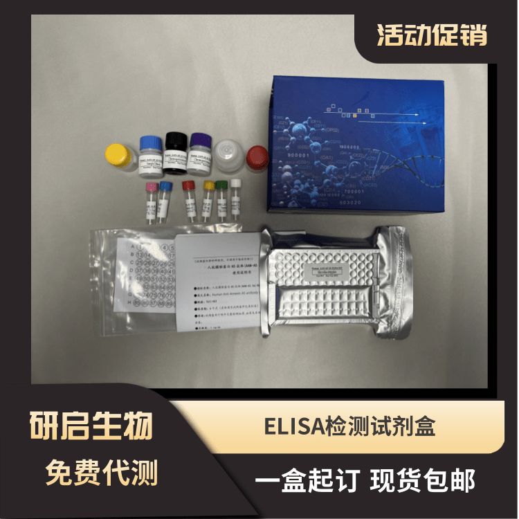 人热休克蛋白糖蛋白96(HSP gp96）ELISA试剂盒