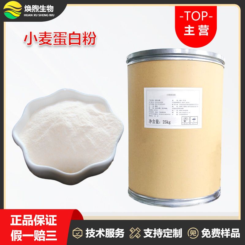 小麦蛋白粉厂家