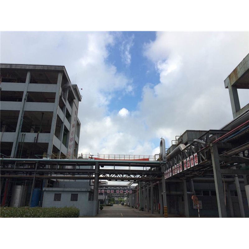 小麦蛋白粉厂家