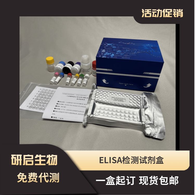 人戊型肝炎病毒IgM抗体(HEV IgM Ab）ELISA试剂盒