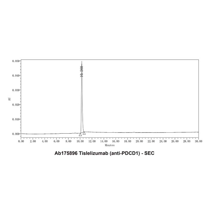 aladdin 阿拉丁 Ab175896 Tislelizumab (anti-PDCD1) 1858168-59-8 无载体, 重组, ExactAb?, 低内毒素, 无叠氮钠, 已验证, 无动物源, ≥95%(SDS-PAGE&SEC-HPLC), 见COA