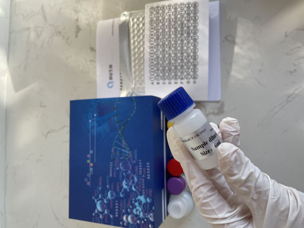 人硫酸肝素糖蛋白(HSPG）ELISA试剂盒