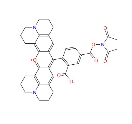 5-羧基-X-罗丹明 SE；209734-74-7；