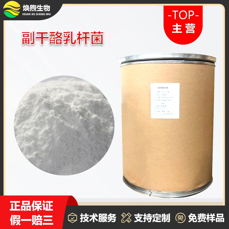 副干酪乳杆菌厂家