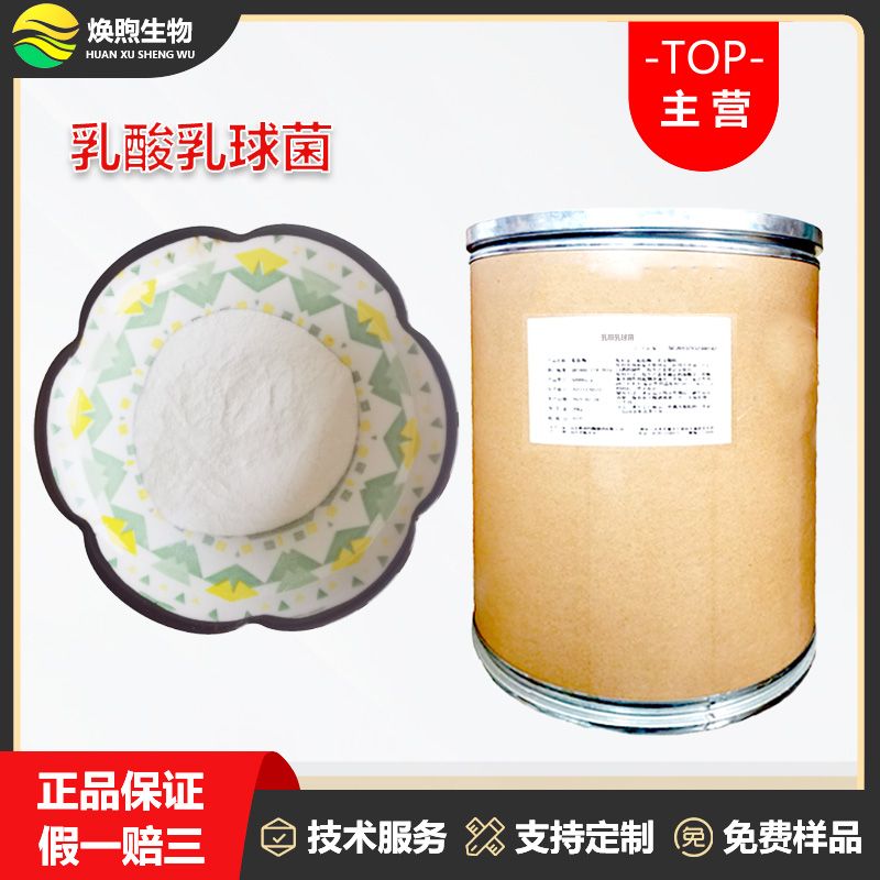 乳酸乳球菌厂家