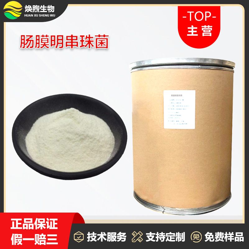肠膜明串珠菌厂家