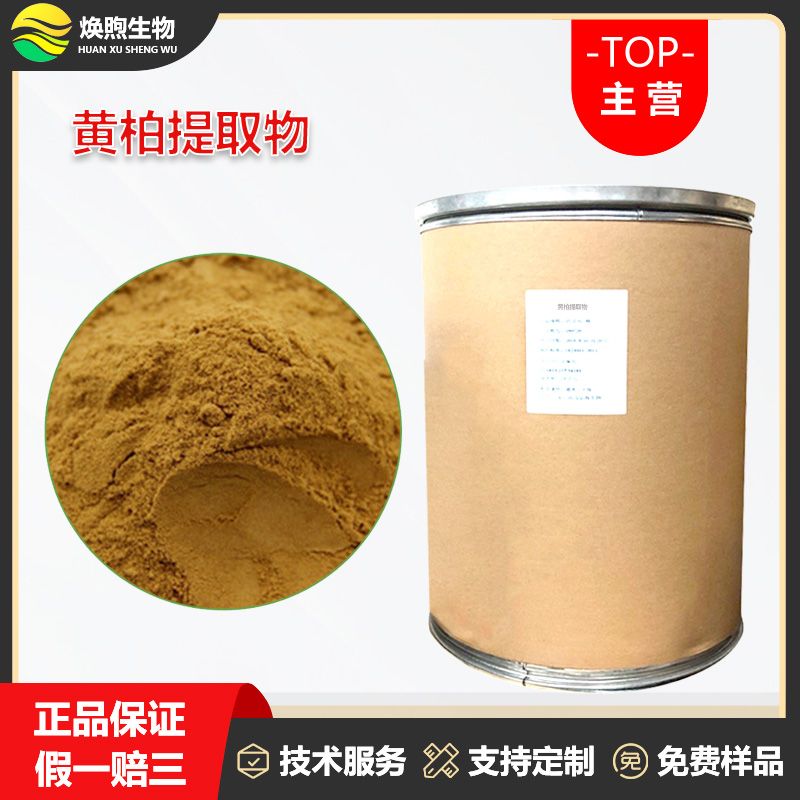 黄柏提取物厂家
