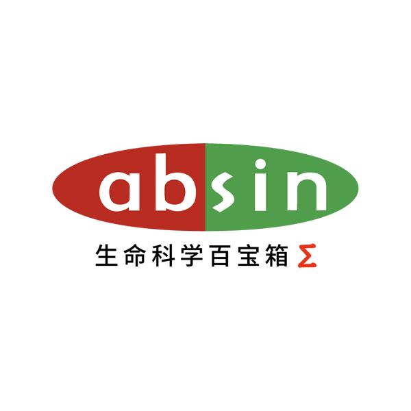 abs9237 Laemmli 加样缓冲液（2×）SDS-PAGE 蛋白上样专用