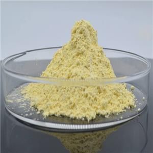 2-氯-4-硝基苯酚 619-08-9 2-Chlo ro-4-nitrophenol