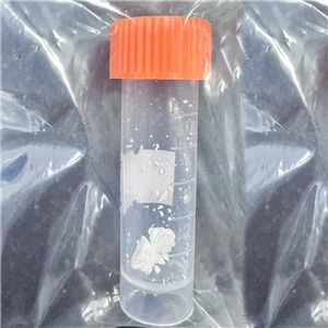 ALPHA-促黑细胞激素(11-13)乙酸盐