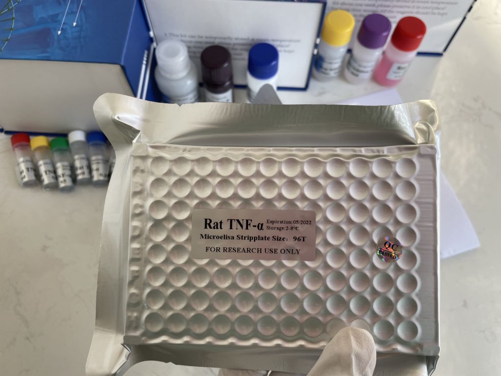 人结核菌素(Tuberculin）ELISA试剂盒