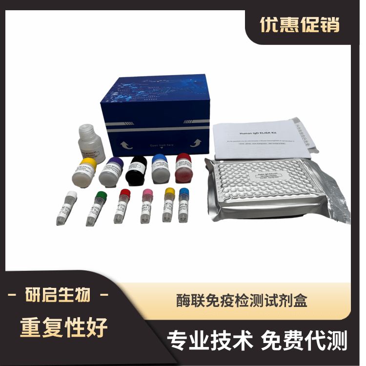 人抗风疹病毒IgG抗体(anti-RV IgG）ELISA试剂盒