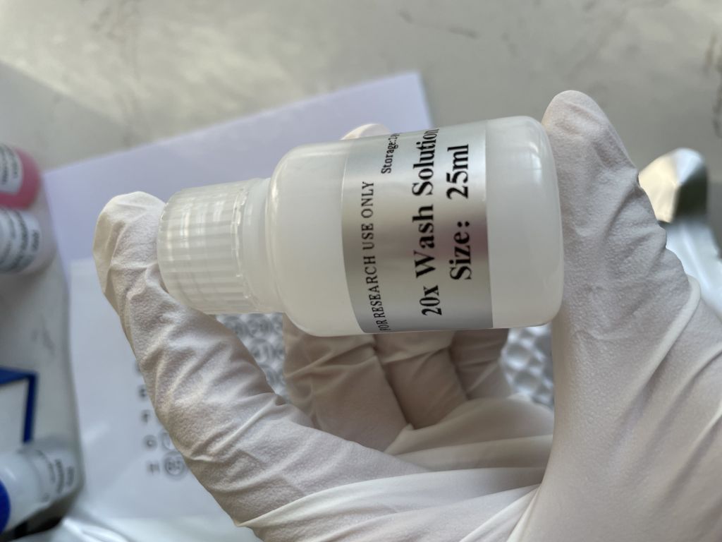 人抗风疹病毒IgG抗体(anti-RV IgG）ELISA试剂盒