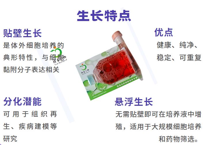 QQ图片20250925142143.png