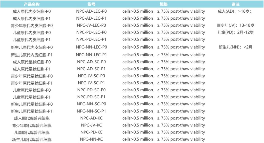 人原代内皮细胞-P1| LifeNet Health肝非实质细胞|曼博生物提供