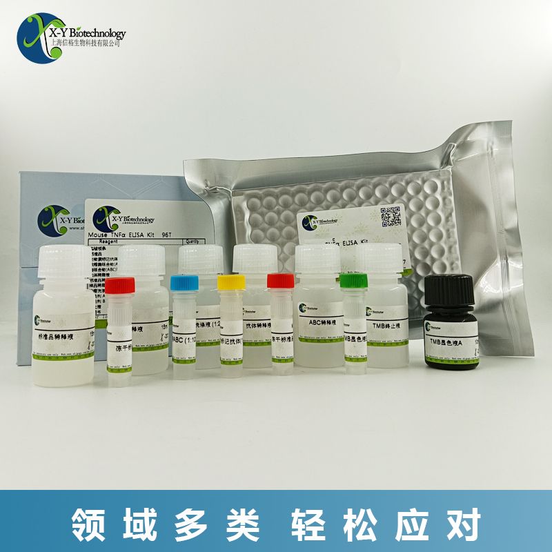 猪ApoB(载脂蛋白B)ELISA试剂盒