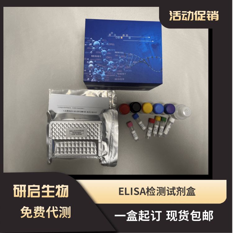 人乙型肝炎病毒E抗体(HBeAb）ELISA试剂盒