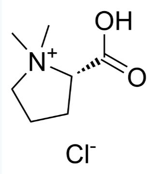 盐酸水苏碱/4136-37-2