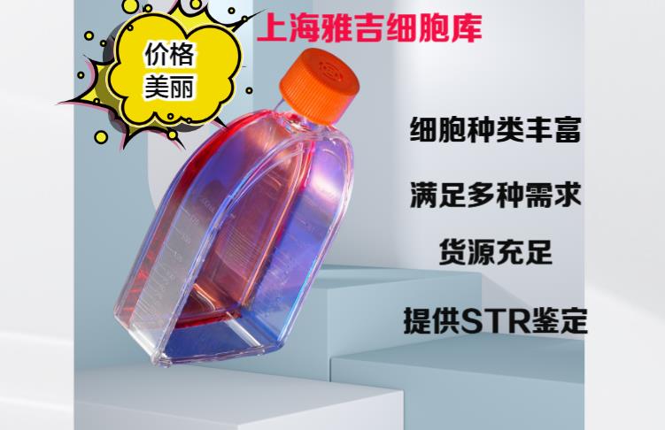 QQ图片20250604112015.png