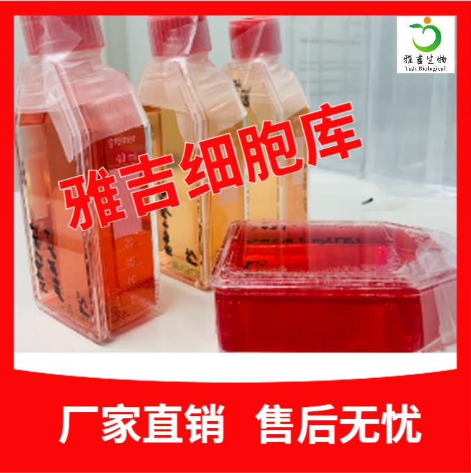 QQ图片20250626111045.png