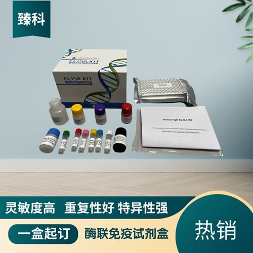 人抗免疫球蛋白结合蛋白抗体(BIP-Ab）ELISA试剂盒（ELISA法）