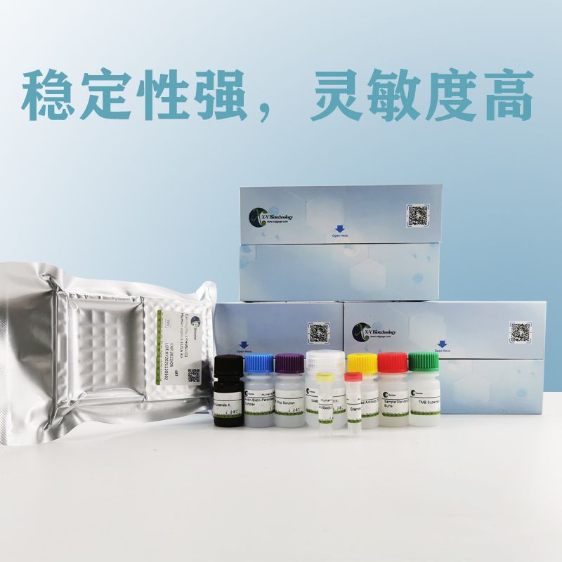 猪MYL3（肌球蛋白轻链3）ELISA试剂盒