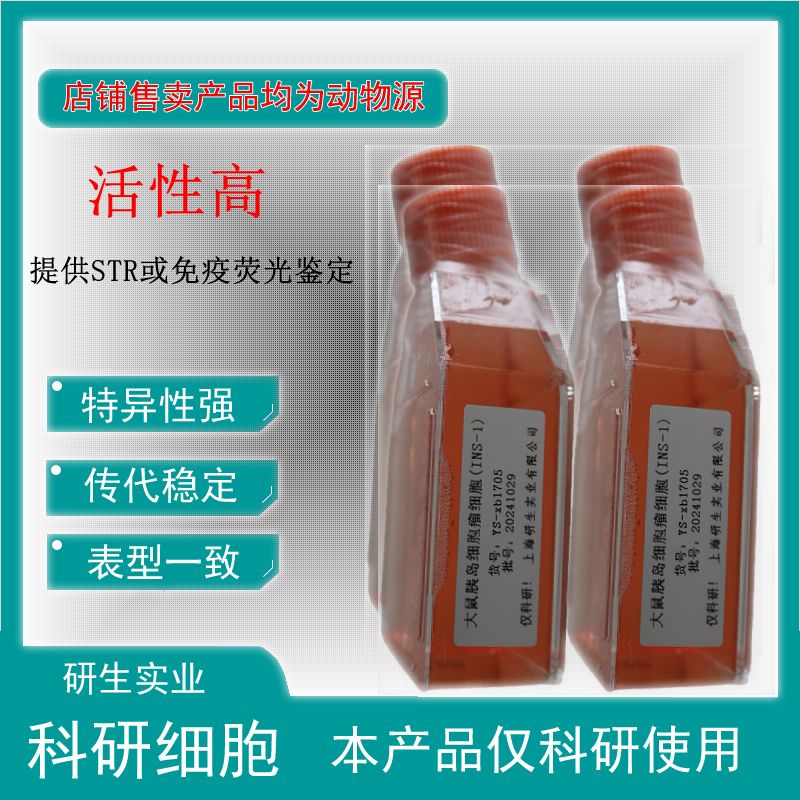 大鼠鼻黏膜成纤维细胞