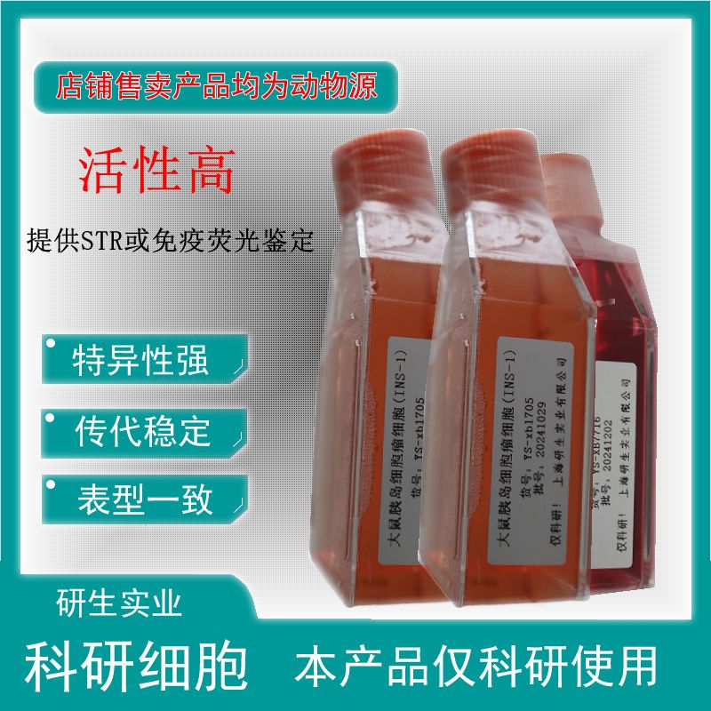 大鼠结肠黏膜上皮细胞