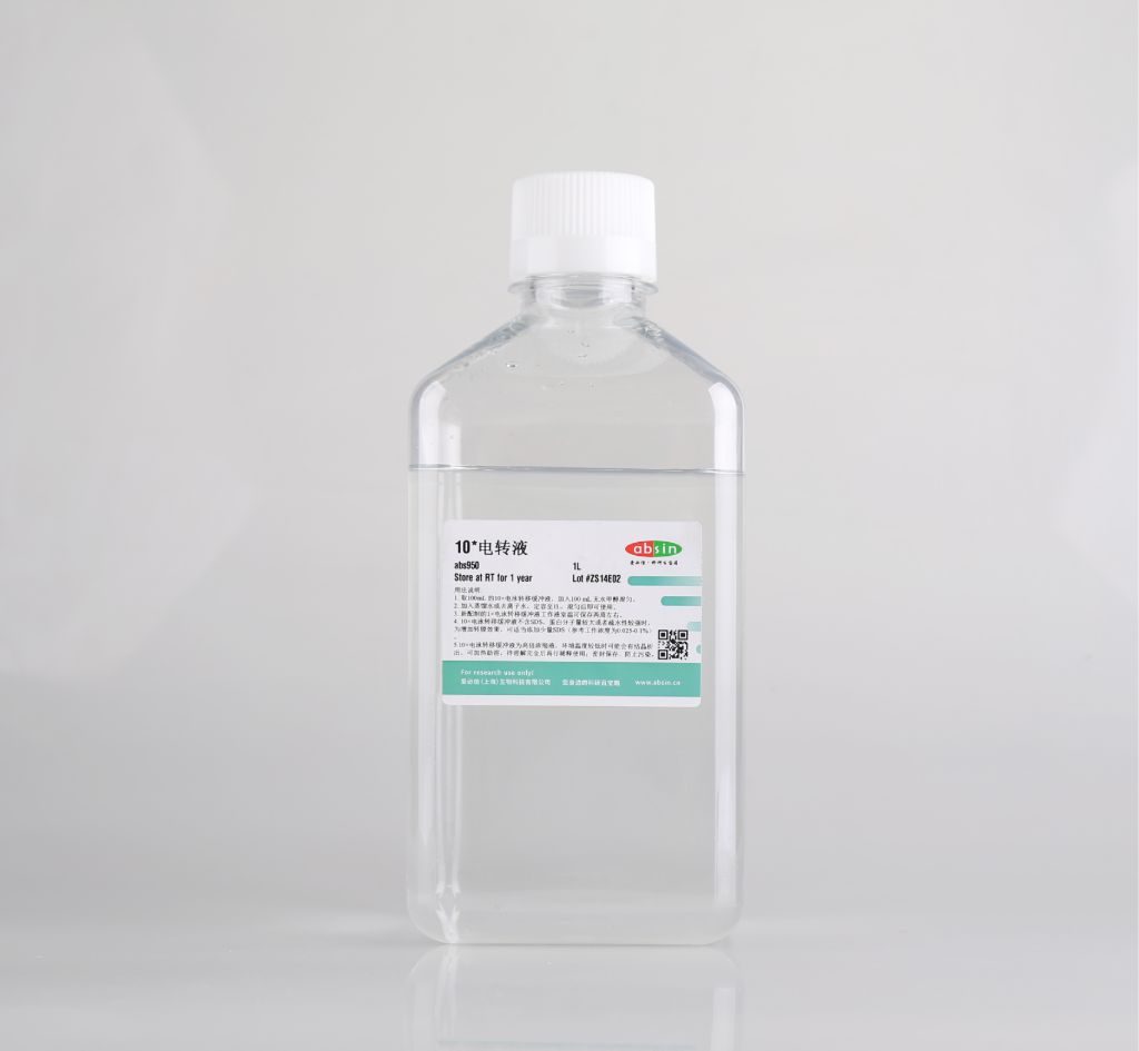 abs950 10× 电转液 Western blot 转膜专用 即用型稀释