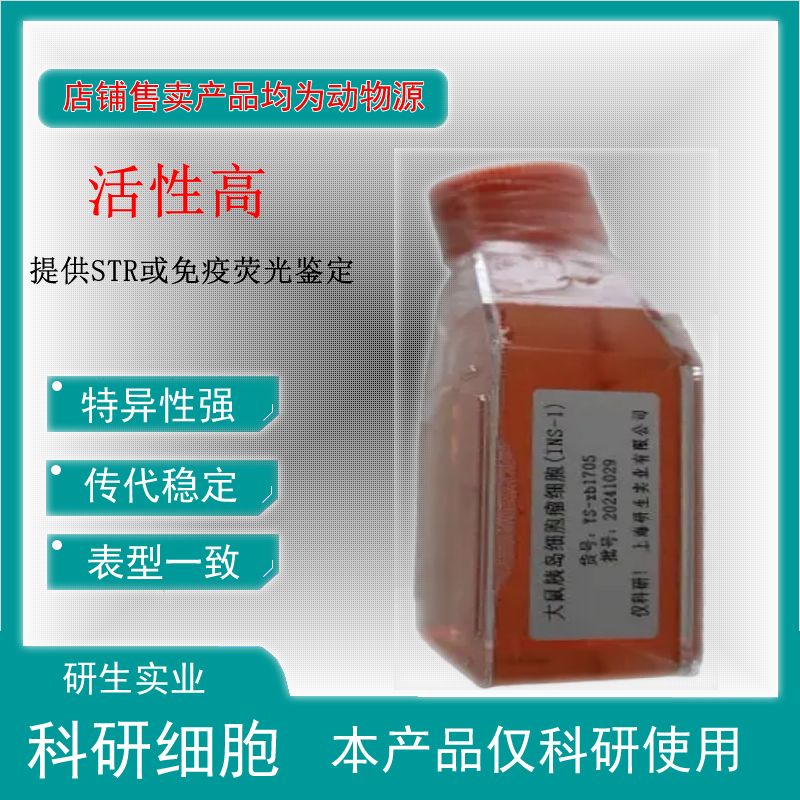 大鼠骨髓树突状细胞(未成熟DC细胞)