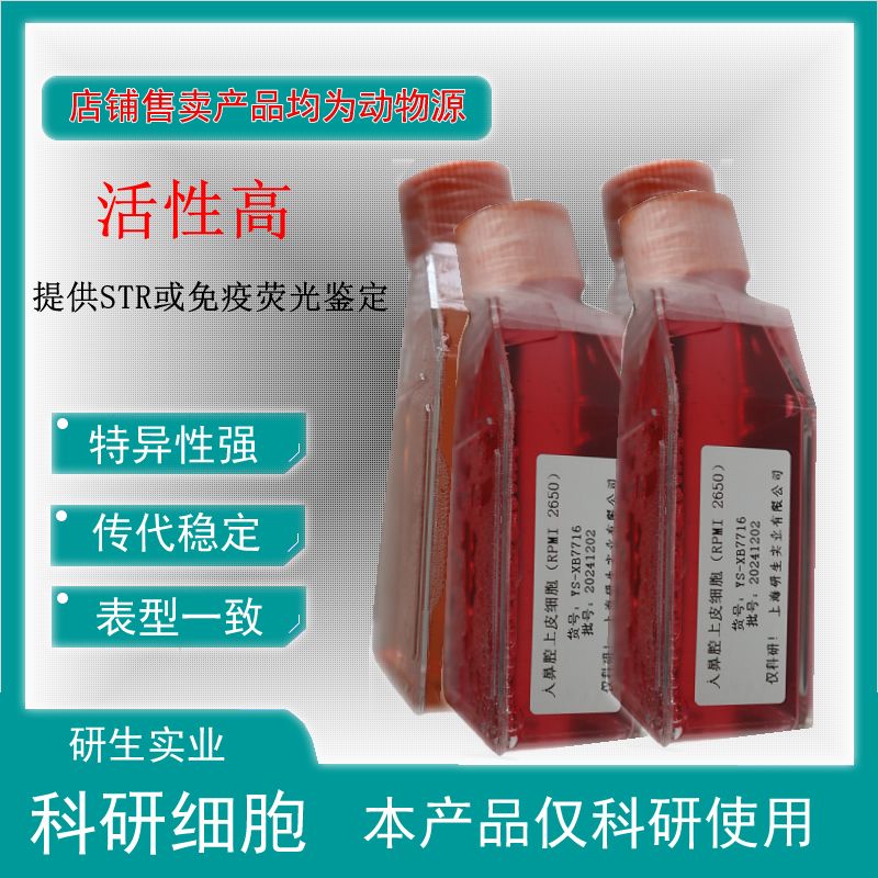 大鼠皮肤肥大细胞