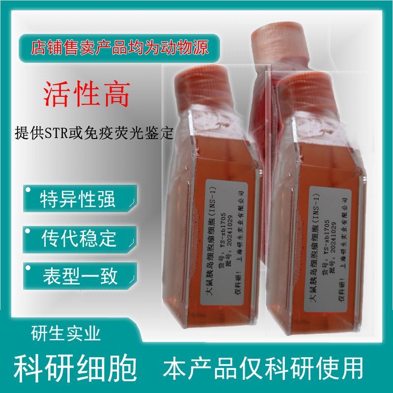 大鼠卵巢成纤维细胞