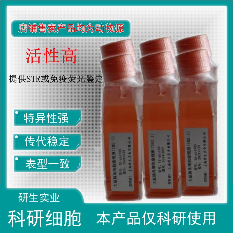 大鼠骨髓单个核细胞