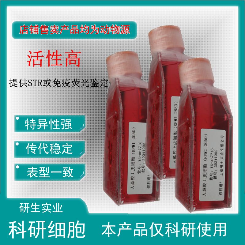 大鼠骨髓来源内皮祖细胞