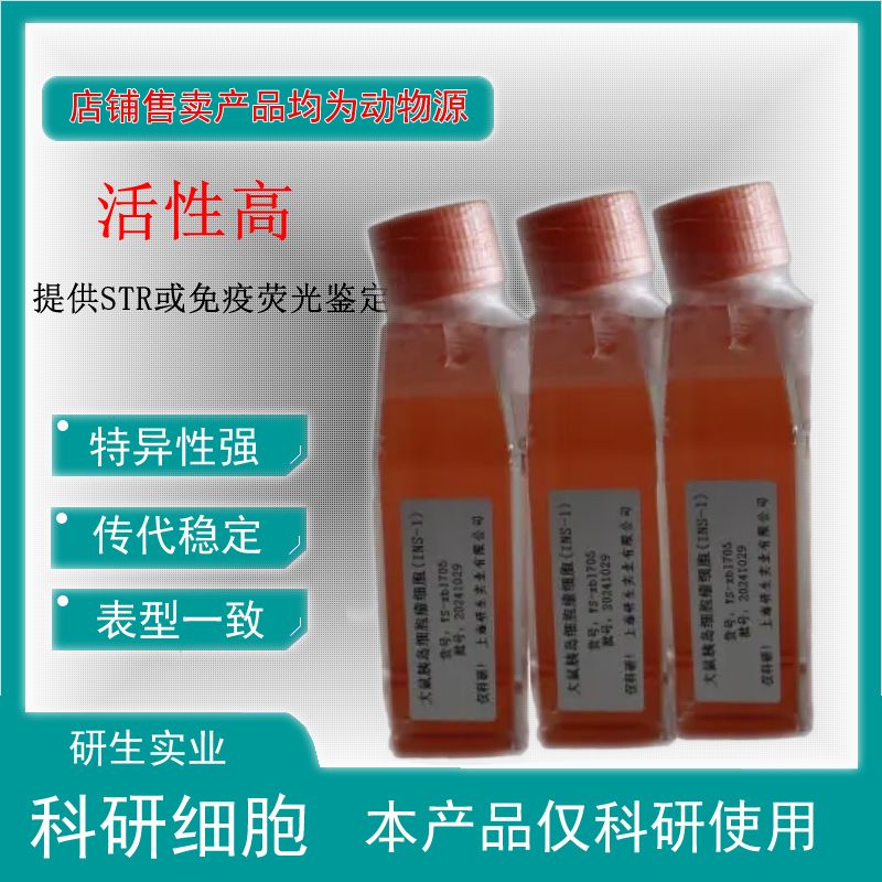 大鼠骨髓树突状细胞(成熟DC细胞)