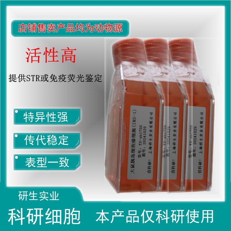 大鼠骨髓树突状细胞(未成熟DC细胞)