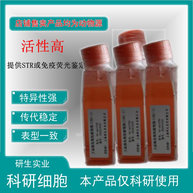 大鼠肺动脉平滑肌细胞