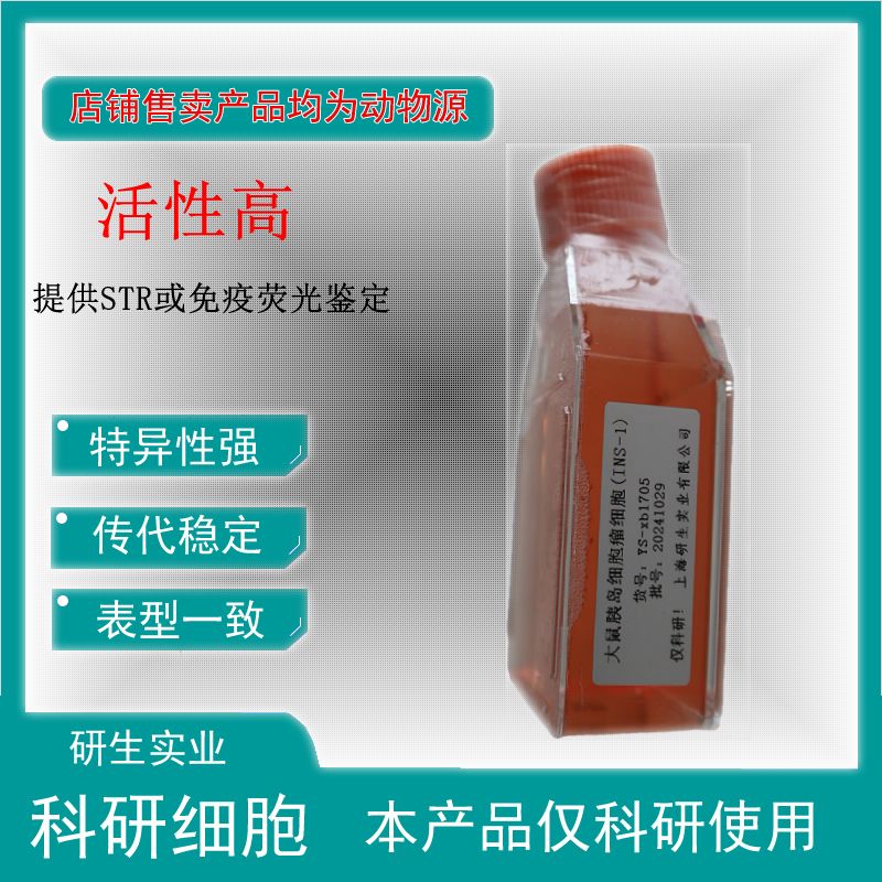 大鼠肺微血管内皮细胞